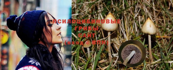 ПСИЛОЦИБИНОВЫЕ ГРИБЫ Абинск
