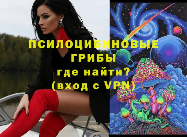 тгк Абаза