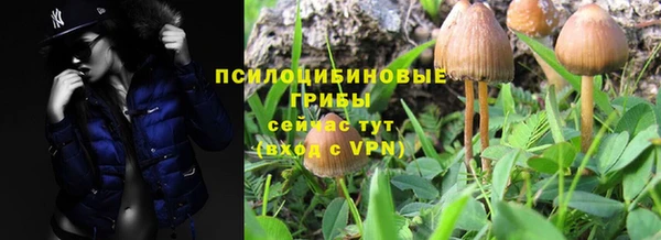ПСИЛОЦИБИНОВЫЕ ГРИБЫ Абинск