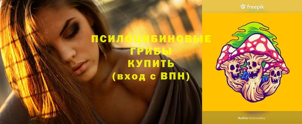 тгк Абаза