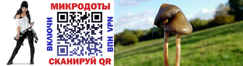 даркнет сайт Нягань Галлюциногенные грибы мицелий